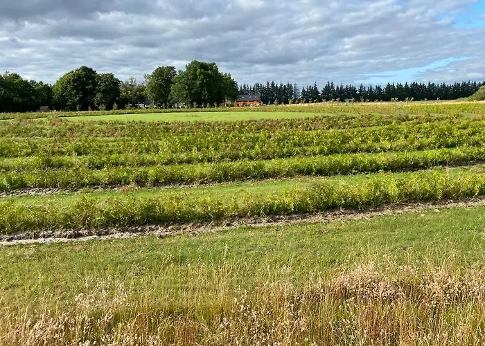 فندق مبيت وإفطار Billund-bnb Aps 2*