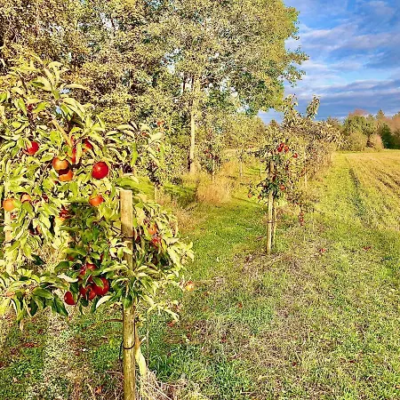 Nocleg ze śniadaniem Billund-bnb Aps