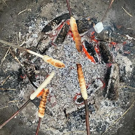 Bed & Breakfast Billund-bnb Aps Billund