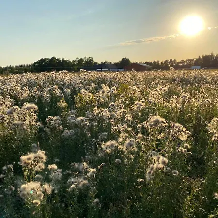 Bed & Breakfast Billund-bnb Aps 2*