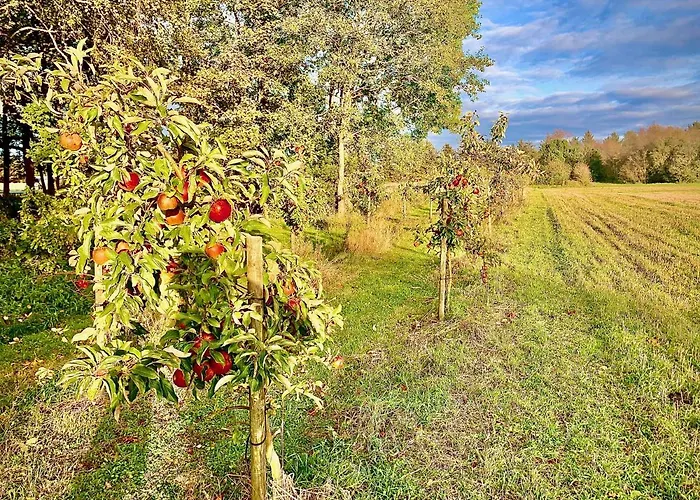 Bed & Breakfast Billund-bnb Aps