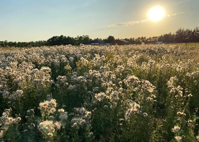 Bed & Breakfast Billund-bnb Aps 2*